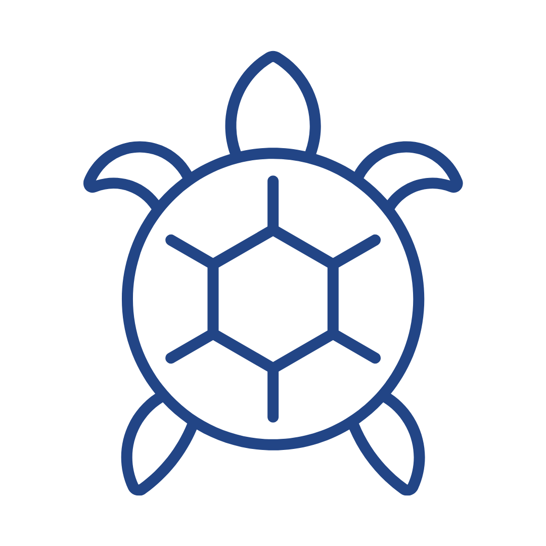 Sócios Individuais Efetivos