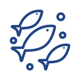 Sócios Coletivos Colaboradores